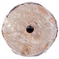 Swieca_ogrodowa_Woodson_Citronella_1.jpg