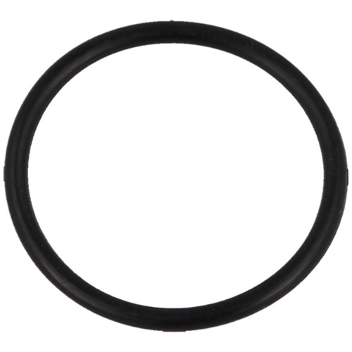 O-RING_252_DO_POMPKI_PCP_HATSAN_HAND_PUMP_14_lentus_militaria-1.jpg