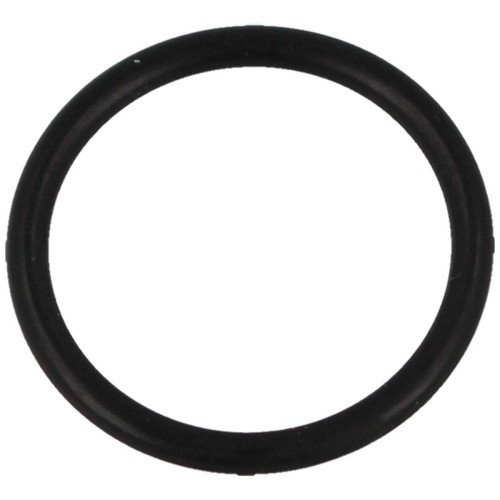 O-RING_18x2_DO_POMPKI_PCP_HATSAN_HAND_PUMP_20_lentus_militaria-1.jpg