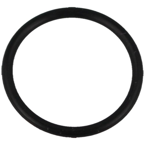 O-RING_21x2_DO_POMPKI_PCP_HATSAN_HAND_PUMP_53_lentus_militaria-1.jpg