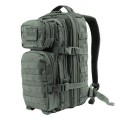 pol_pl_Mil-Tec-Plecak-Small-Assault-Pack-Foliage-Green-14002006-3738_4 (1).jpg