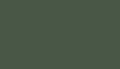 FOSCO - Farba-do-maskowania-RAL-6031 - Forest-Green-1.jpg