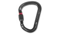 Petzl-Karabinek-WILLIAM-SCREW-LOCK-M36A-SLN-1.jpg
