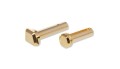 Strike Industries - Piny-mocujace-Extended Pivot  Takedown Pins-do-AR-15 - Złoty - SI-AR-EPTP-GC-1.jpg
