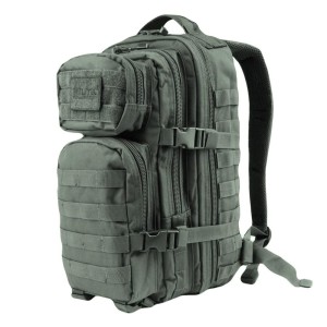 Plecak Small Assault Pack - Foliage Green  Mil-Tec - 14002006 