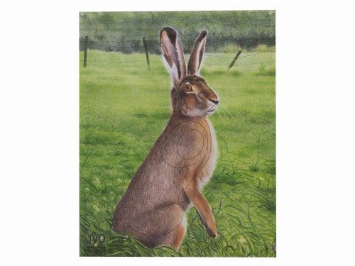 Tarcza papierowa JVD zając 45 x 53 cm-1 34881