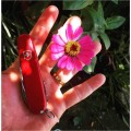 Scyzoryk-Victorinox-Sportsman-0.3803-13 funkcji-z-koleczkiem-3.jpg