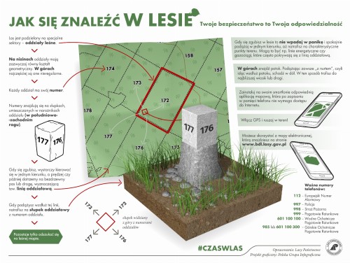 jak-znalezc-sie-w-lesie-samemu.jpg
