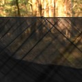 Hamak TigerWood Ważka V2 long z moskitierą czarny-4 35648