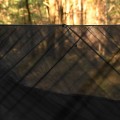 Hamak TigerWood Ważka V2 z moskitierą czarny-5 35652