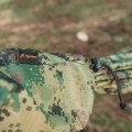 Hamak TigerWood Ważka V2 camo-4 35968