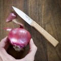 Nóż kuchenny Opinel 126 Paring Knife-3 36569