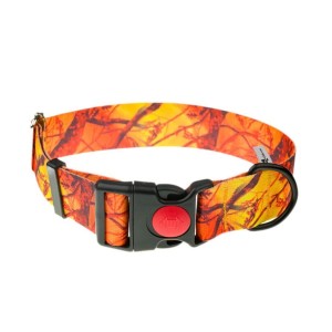 Obroża z taśmy 4wild.eu 40 mm 39-61 cm pomarańczowy kamuflaż