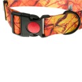 Obroza-z-tasmy-4wild-eu-40-mm-39-61-cm-pomaranczowy-kamuflaz-1.jpg