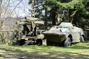 Tajemnicze Góry Sowie. Projekt Riese Olbrzym. Włodarz. Część I