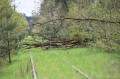 UrbeX_nie_opuszczona_wies_Kamieniec_SzumiraD_5.JPG