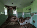Zespol_Palacowy_Klobukowice_k_Mstowa_UrbeX_3.gif