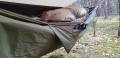 pl=plKoc-ratunkowy-Bushmen-Thermo-Blanket-poncho-spiwor-awaryjny-podpinka_5.jpg