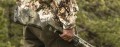 zul_pm_Magpul-Kolba-SGA-R-do-Mossberg-R-500-590-590A1-Pomaranczowa-MAG490-ORG-lentus4.jpg