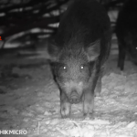 Celownik noktowizyjny noktowizor HIKMICRO by HIKVISION Alpex 4K LRF + iluminator laserowy X-hog Pro 850/940 nm