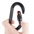 zul_pm_Petzl-Karabinek-OK-SCREW-LOCK-M33A-SLN-lentus2.jpg