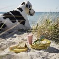 zul_pm_Light-My-Fire-Zestaw-turystyczny-LunchKit-BIO-SandyGreen-2413710610-lentus4.jpg