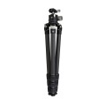 Trójnóg Vortex Radian Carbon Kit-2 51291