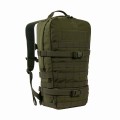 Plecak Tasmanian Tiger Essential Pack L MKII, oliwkowy-1 52363