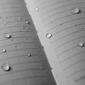 zul_pm_Rite-in-the-Rain-Notatnik-wodoodporny-Large-Bound-Book-223-x-175-mm-80-kartek-Czarny-770F-LG-42679_4.jpg