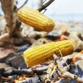 zul_pm_Light-My-Fire-Szpic-do-pieczenia-Grandpas-FireFork-BIO-2-pack-MustyYellow-HazyBlue-2302011413-23457_4.jpg