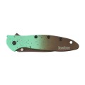 Nóż składany Kershaw Leek 1660MINT-4 53807