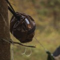 Pokrowiec Lesovik LARVA walnut brown-3 57710
