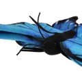 Maskotka Uni-Toys Niebieski motyl 25 cm-3 59374