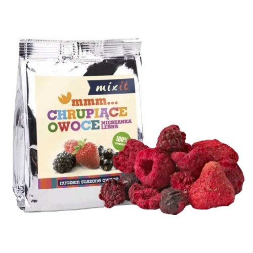 Chrupiąca mieszanka leśna Mixit 20 g- 59801 