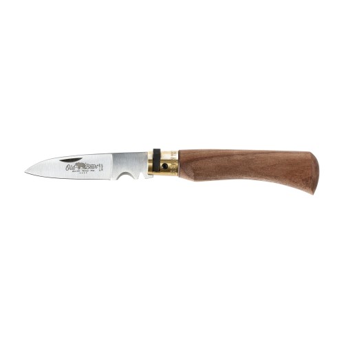 Nóż składany Antonini Old Bear Electrician - walnut- 61844 