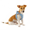 Szelki dla psa Curli Clasp Air-Mesh airblue-3 62649  | 77156