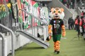 DSC_7731.JPG