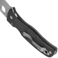 pol_pl_Noz-skladany-Spyderco-Bodacious-Sprint-Run-Carbon-Fiber-Satin-CPM-S90V-by-Sal-Glesser-C263CFP90V-126134_7.jpg