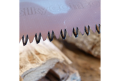 Pila_reczna_skladana_Silky_Gomboy_Curve 270-8_chromowana_nierdzewna_lentus_militaria_4.png
