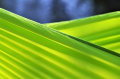Hamak_Flyhamak_Green_fluorescencyjny_rip_stop_lekki_sztuka_bujania_lentus_militaria_3.png