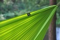 Hamak_Flyhamak_Green_fluorescencyjny_rip_stop_lekki_sztuka_bujania_lentus_militaria_5.jpg