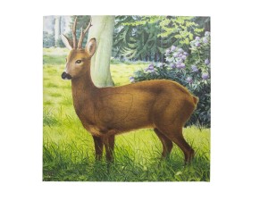 Tarcza papierowa JVD jeleń 90 x 83 cm