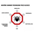 Balsam_kojacy_Mugga_na_ukaszenia_i_poparzenia_50ml_lentus_militaria_10.jpg