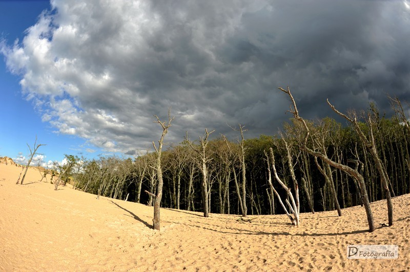 zdjecia-leba-ruchowe-wydmy-lebsko-jezioro-dobrowolska