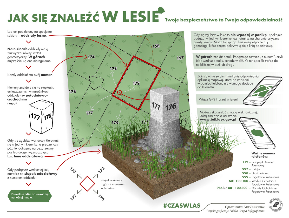Jak znależć się w lesie