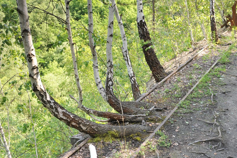 kamieniolom_Liban_bonarka_lista_schindlera_waskotorowka