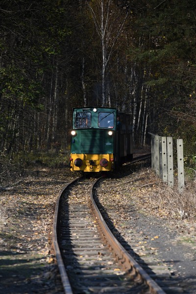 Bytom Wąskotorowy – przystanek kolei wąskotorowej przyległy do hali dworca kolejowego w Bytomiu (od strony ul. Zabrzańskiej). Obecnie początkowy dla pociągów historycznych i turystycznych Górnośląskich Kolei Wąskotorowych.
