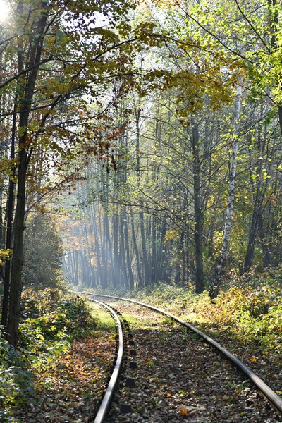 Lokalna_Kolej_Drezynowa_Regulice_linia_103