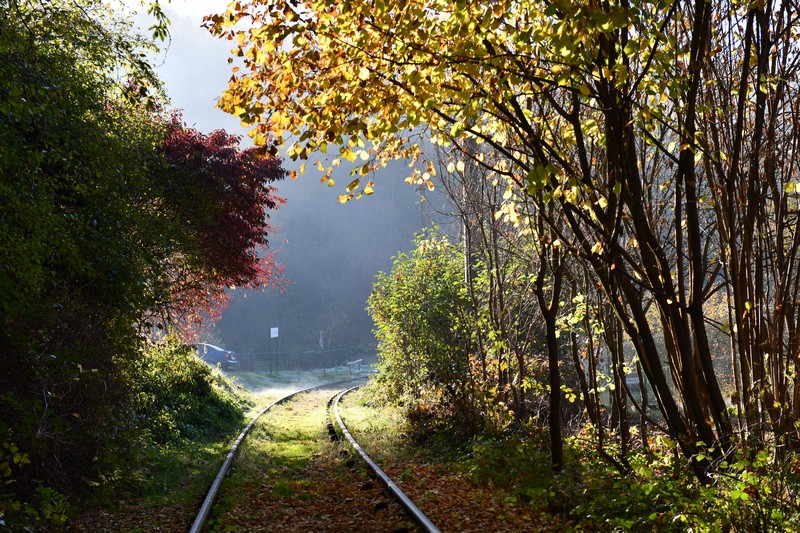 Lokalna_Kolej_Drezynowa_Regulice_linia_103