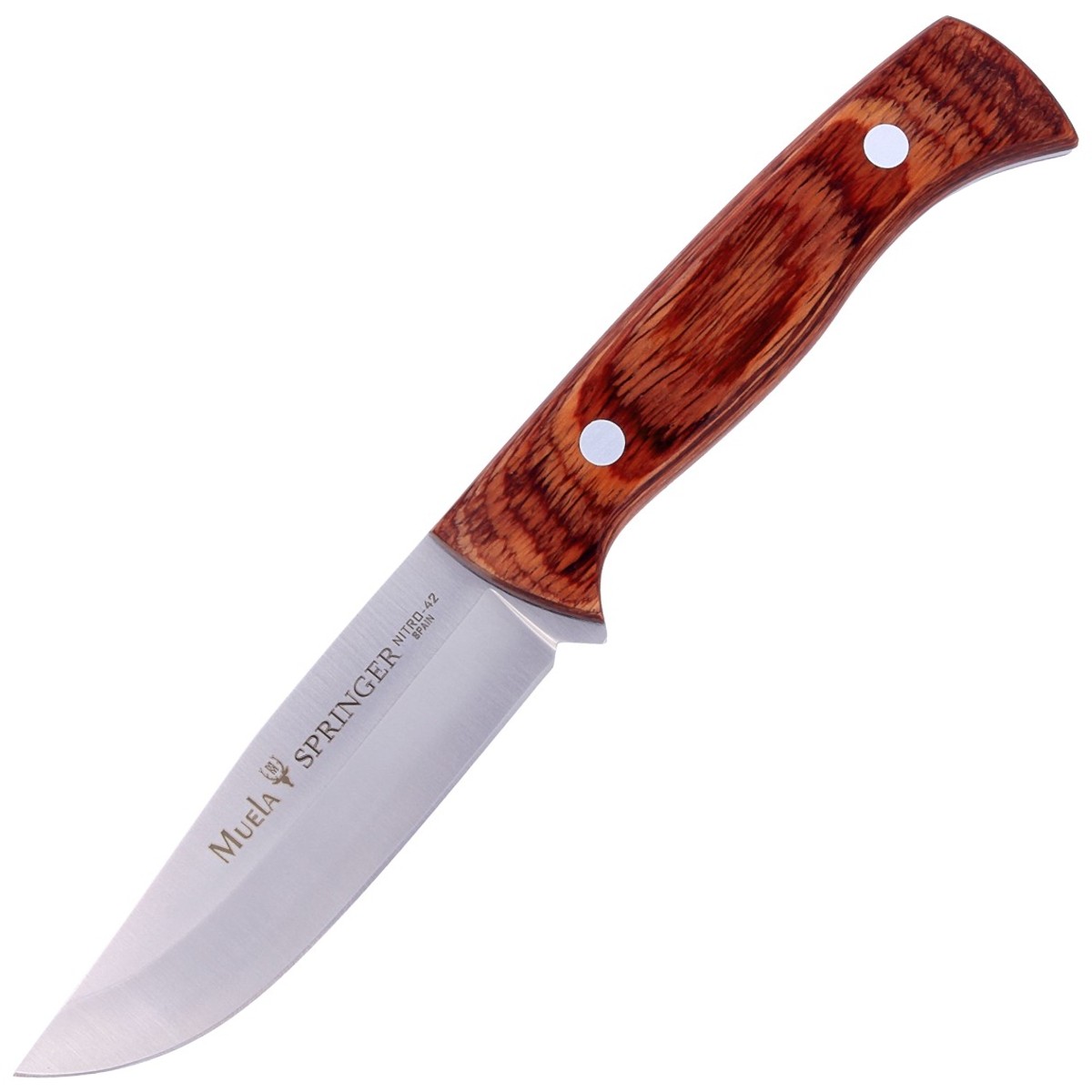 NOZ-MUELA-SPRINGER-PAKKAWOOD-110MM-SPRINGER-11R